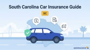 graphic of a car in front of a South Carolina map