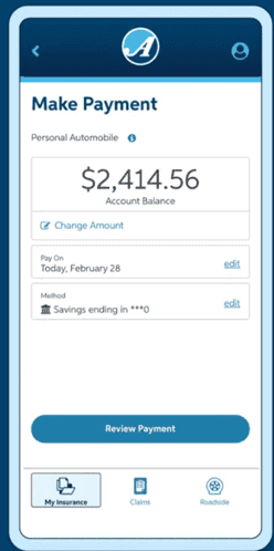 auto-owners make payment
