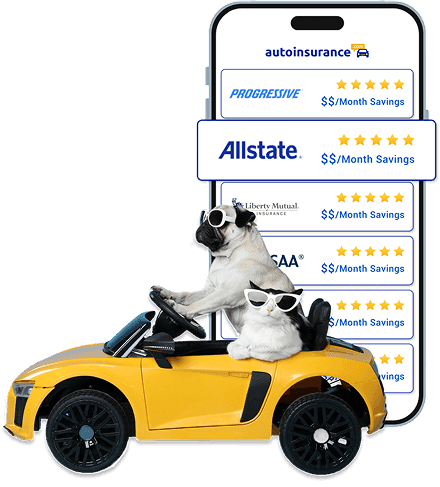 Provider list with pets driving a toy car