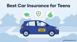 graphic of a teen driving a car with a sign on it that says student driver