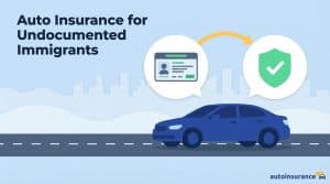 graphic of a car with a license above it