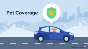 graphic of a car with a dog in it