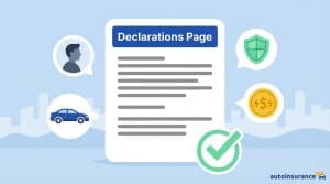 graphic of a declarations page