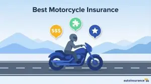 graphic of a person riding a motorcycle