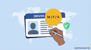graphic of a driver's license