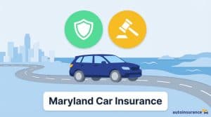 graphic of a car next to a shoreline