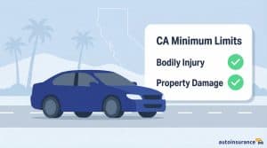 graphic of a car with a map of california and palm trees in the background