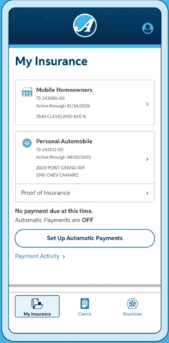 auto-owners