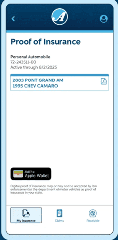 auto-ownders insurance card