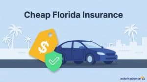 featured-cheap-florida-insurance-illustration
