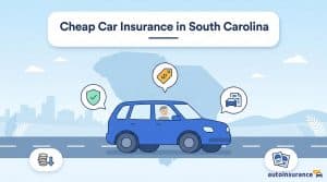 graphic of a car with a map of south carolina behind it
