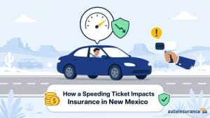 new mexico speeding ticket graphic